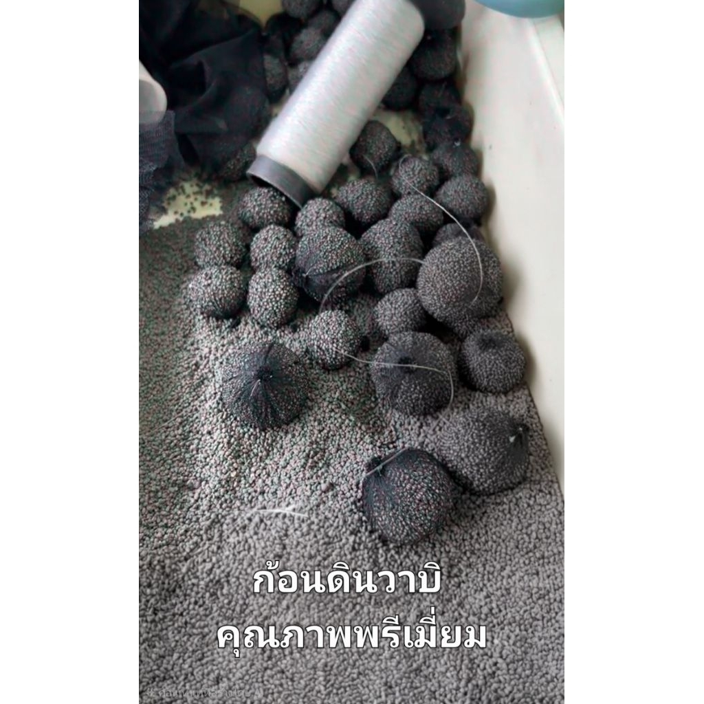 ก้อนวาบิ  ทำจากดินปลูกไม้น้ำสูตรพิเศษ   (พร้อมส่ง) ซื้อ 10 ก้อน แถม 1 📌🔥