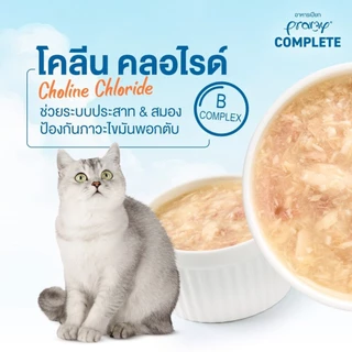 Pramy Complete 1กล่อง(12ซอง) อาหารเปียกแมวพรามี่ ขนาด 60 กรัม