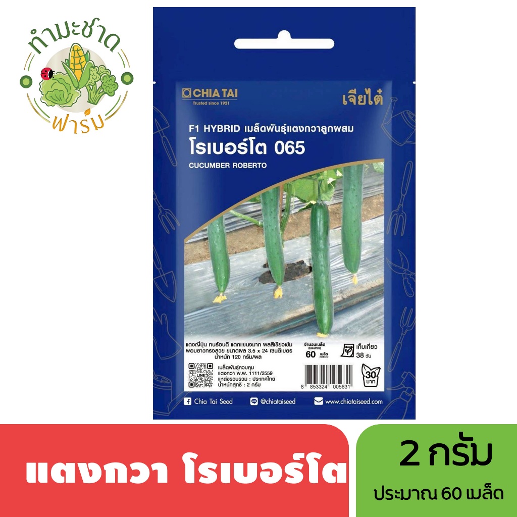 เจียไต๋ (Easy) เมล็ดพันธุ์ แตงกวาเบลล่า ขนาด2กรัม ประมาณ70เมล็ด Cucumber แตงกวา เมล็ดพันธุ์พืช เมล็ดผัก ปลูกผักสวนครัว