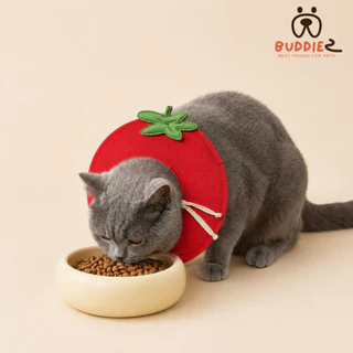 Buddiez ปลอกคอกันเลีย น้องหมาน้องแมว ผ้าตาข่ายมีฟองน้ำซัพพอร์ต ลายผลไม้สุดคิ้วท์ นุ่มใส่สบาย ไม่อับชื้น ระบายอากาศได้ดี