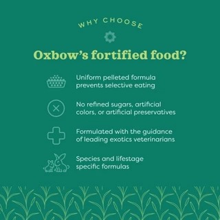 Essentials อาหารกระต่ายโต 1 kg (แบ่งขาย) แบรนด์ Oxbow