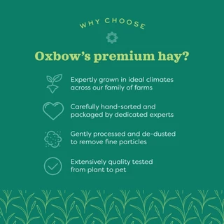 หญ้าแห้งเกรดพรีเมียม ขนาด 40 oz (1.13 kg) แบรนด์ Oxbow