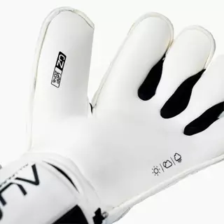 ถุงมือผู้รักษาประตู WINGZ (ZENO ONE)