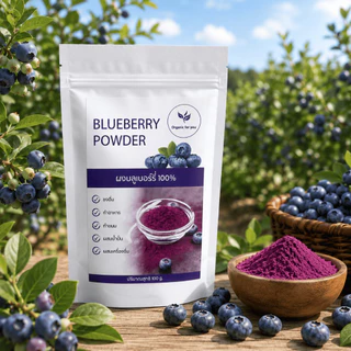 ผงบลูเบอรี่แท้ 100% (Blueberry Powder) 🍇 ขนาด 100กรัม / ซอง