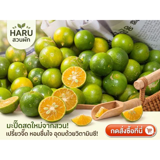 มะปี้ดเรียกอีกอย่างว่าส้มจี้ด (ร้านเปิดใหม่)
