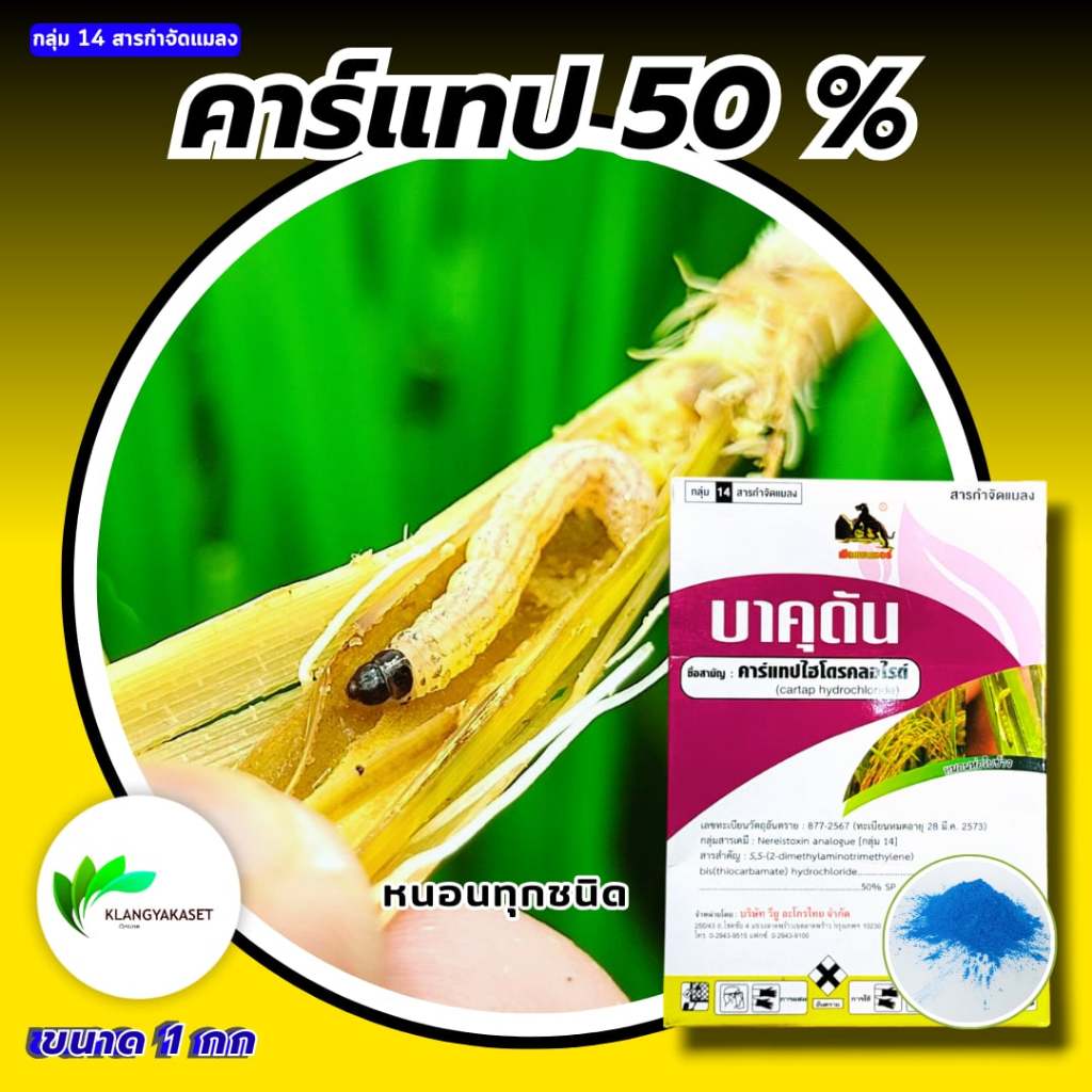 บาคุดัน 99 1 กก 🔴🔴 คาร์แทป ไฮโดรคลอไรด์ กำจัดหนอน เพลี้ย ยาฆ่าแมลง คาแทป คาแทบ สารกำจัดแมลง