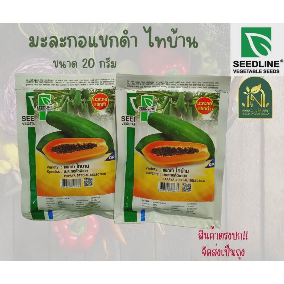 เมล็ดมะละกอแขกดำ ไทบ้าน   ขนาด 20 กรัม Seedline