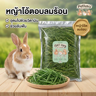 หญ้าโอ้ตอบลมร้อน Oat Hay 250g คัดเกรดพรีเมี่ยม หอมเขียวนุ่มแสนอร่อยมีวิตามินเอสูง อาหารสัตว์เล็ก