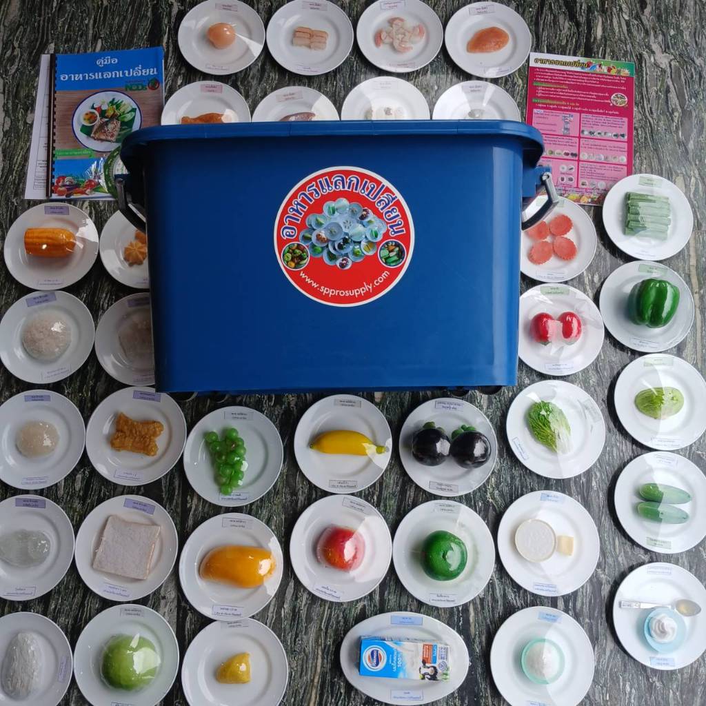 โมเดลอาหารแลกเปลี่ยน 36 รายการ (ชุดเล็ก) โรคเรื้อรัง NCDs