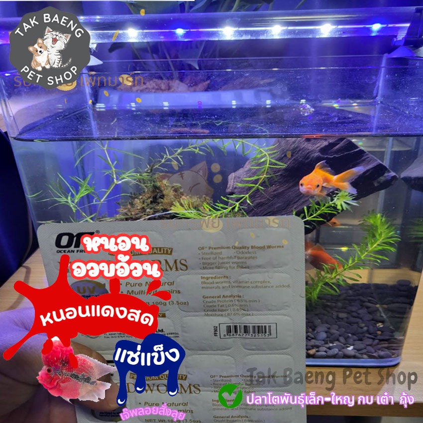 ส่งรวดเร็ว  หนอนแดงแช่แข็ง OC แผ่นขาว หรือโอเชี่ยนฟรี ตัวเลือก 1-3 แพ็ค  ปราศจากปรสิตที่ทำให้เกิดโรค  อาหารกุ้งและปลา