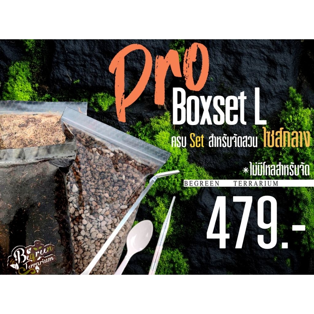 Pro Boxset L🔥 479.- ครบ Set ชุดจัดสวนขวด ขนาดกลาง