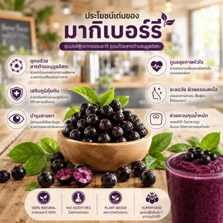ผงมากิเบอรี่ แท้ 100% (Maqui Berry) 🍇ขนาด 100 กรัม /ซอง