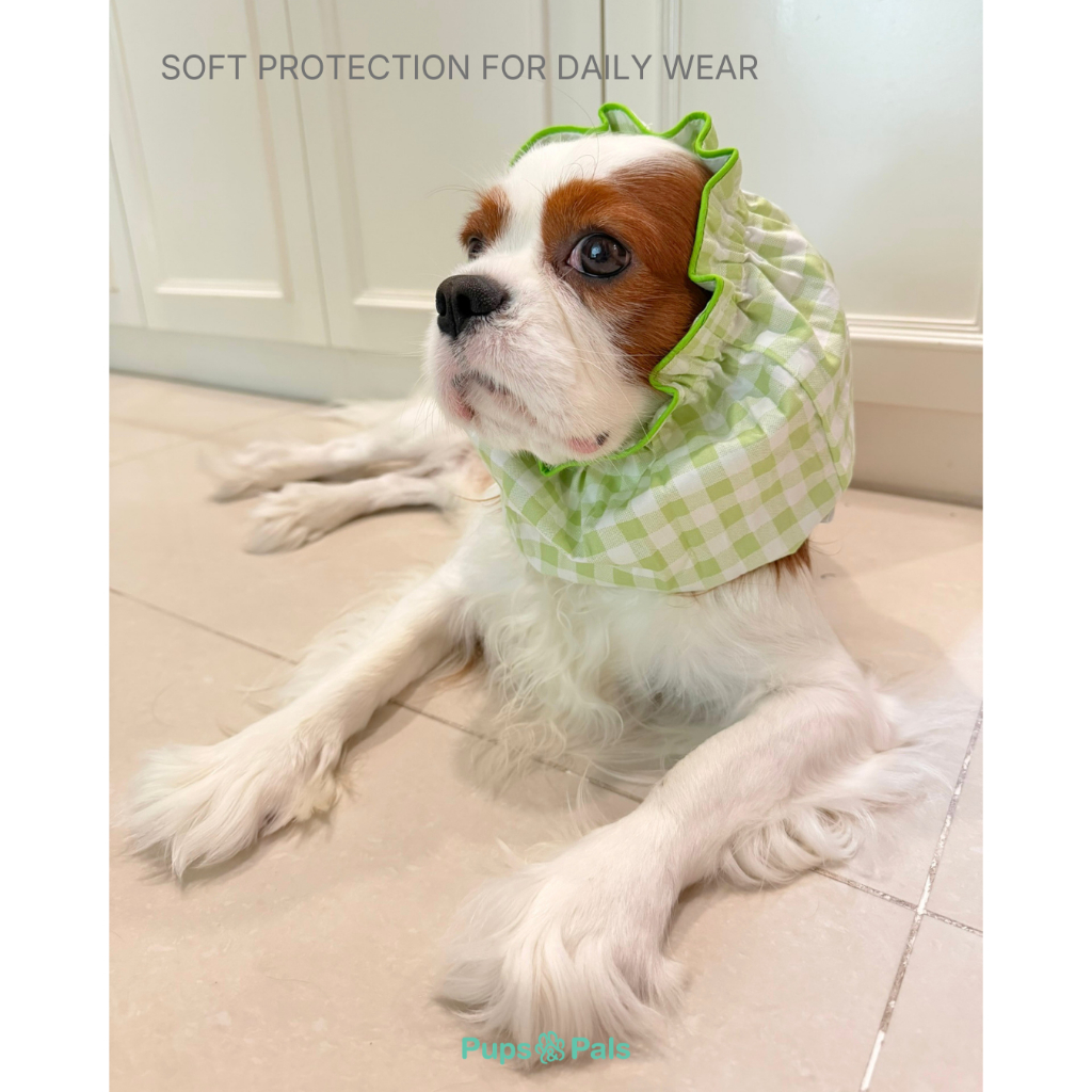 Pups&Pals Pet Snood - Light Fabric ผ้าเนื้อเบา สบาย คลุมกันเลอะสำหรับสุนัขและแมว