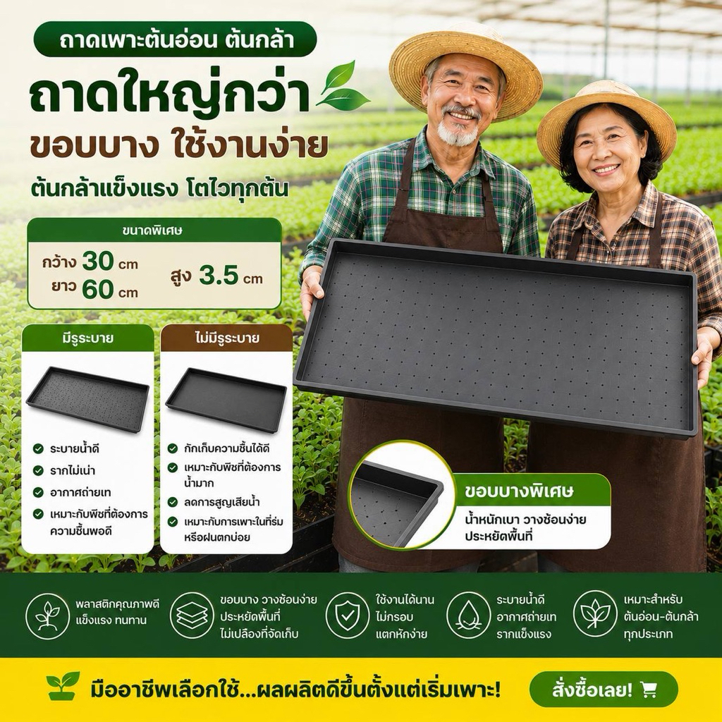 ถาดเพาะต้นอ่อน 1,3,5 ถาด เมล็ดข้าว ทานตะวัน ผักบุ้ง โต้วเหมี่ยว ผักงอกได้ทุกชนิด