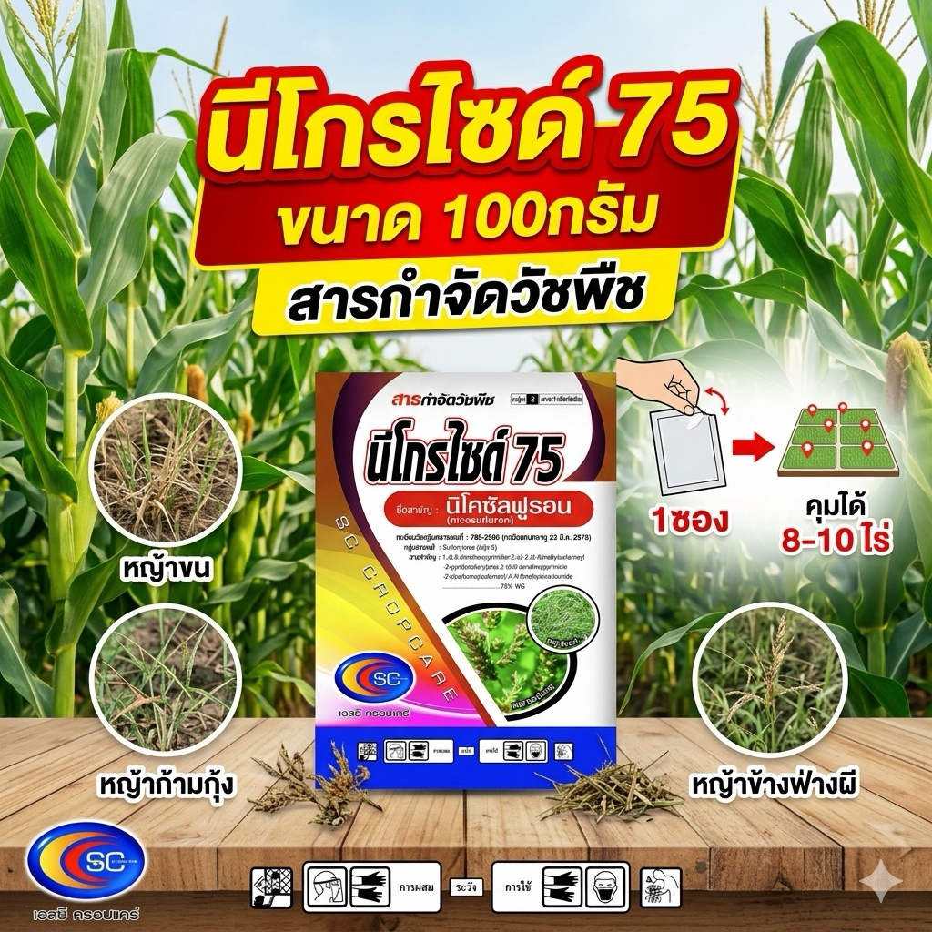 นีโกรไซด์ 75 ขนาด100กรัม สารตัวเดียวกับนิโก๊ะ
