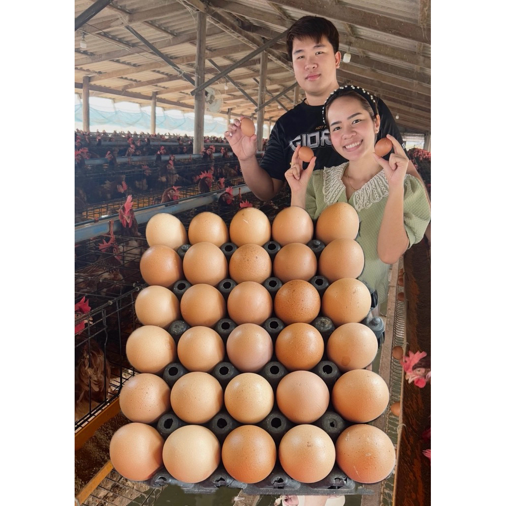 ไข่ไก่ เบอร์0 สดใหม่จากฟาร์ม เลี้ยงเองส่งฟรี