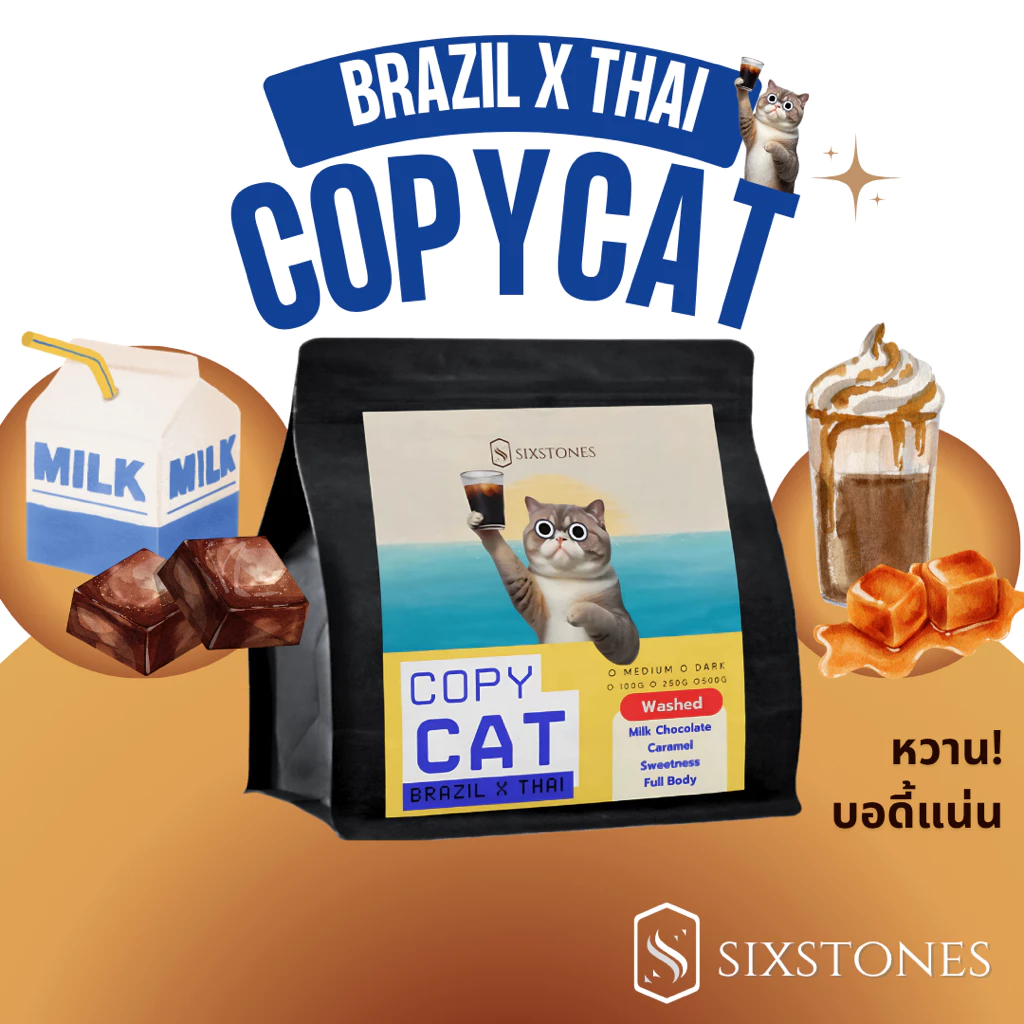 Copycat(บราซิล+ไทย)เมล็ดกาแฟคั่วบราซิลไทย ไม่เปรี้ยว ลาว โบลาเวน คั่วกลาง คั่วเข้ม ซิกซ์สโตนส์ sixstones
