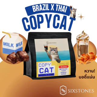 Copycat(บราซิล+ไทย)เมล็ดกาแฟคั่วบราซิลไทย ไม่เปรี้ยว ลาว โบลาเวน คั่วกลาง คั่วเข้ม ซิกซ์สโตนส์ sixstones