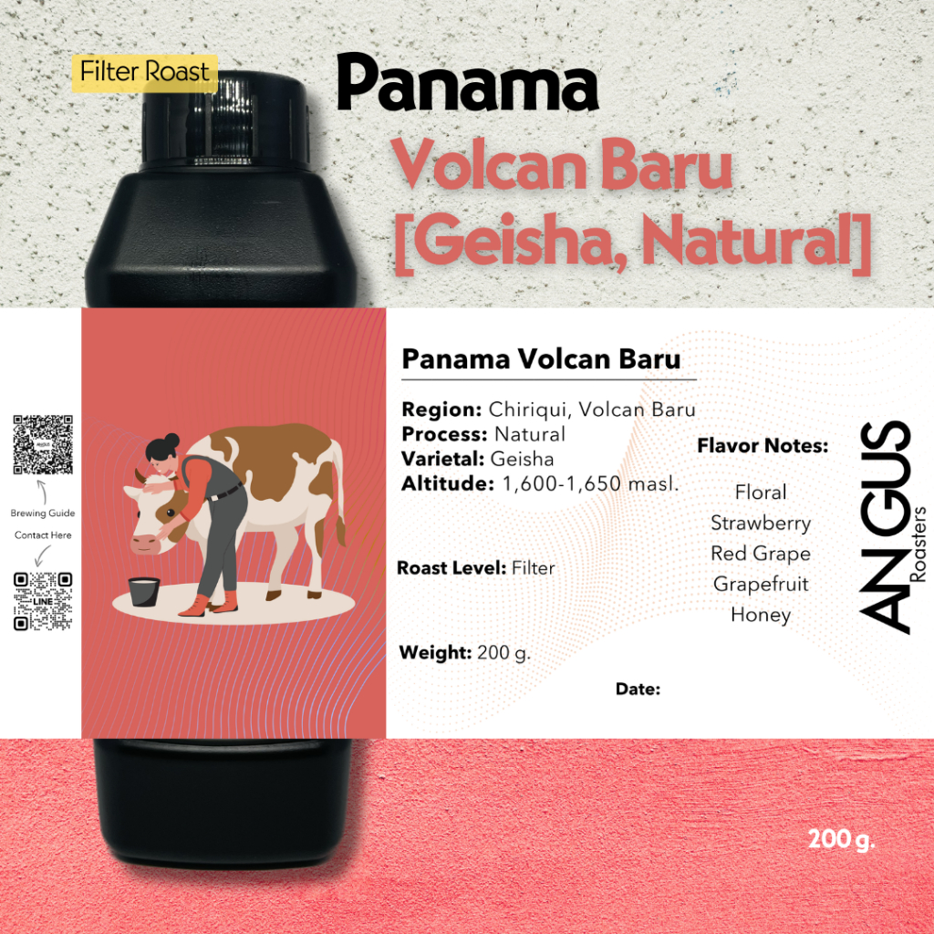 Angus Coffee Roasters เมล็ดกาแฟคั่วอ่อน Filter – Panama Volcan Baru Geisha Natural ราคา ถูกที่สุด ดีลบีเคเค แกลเลอรีภาพที่ 2
