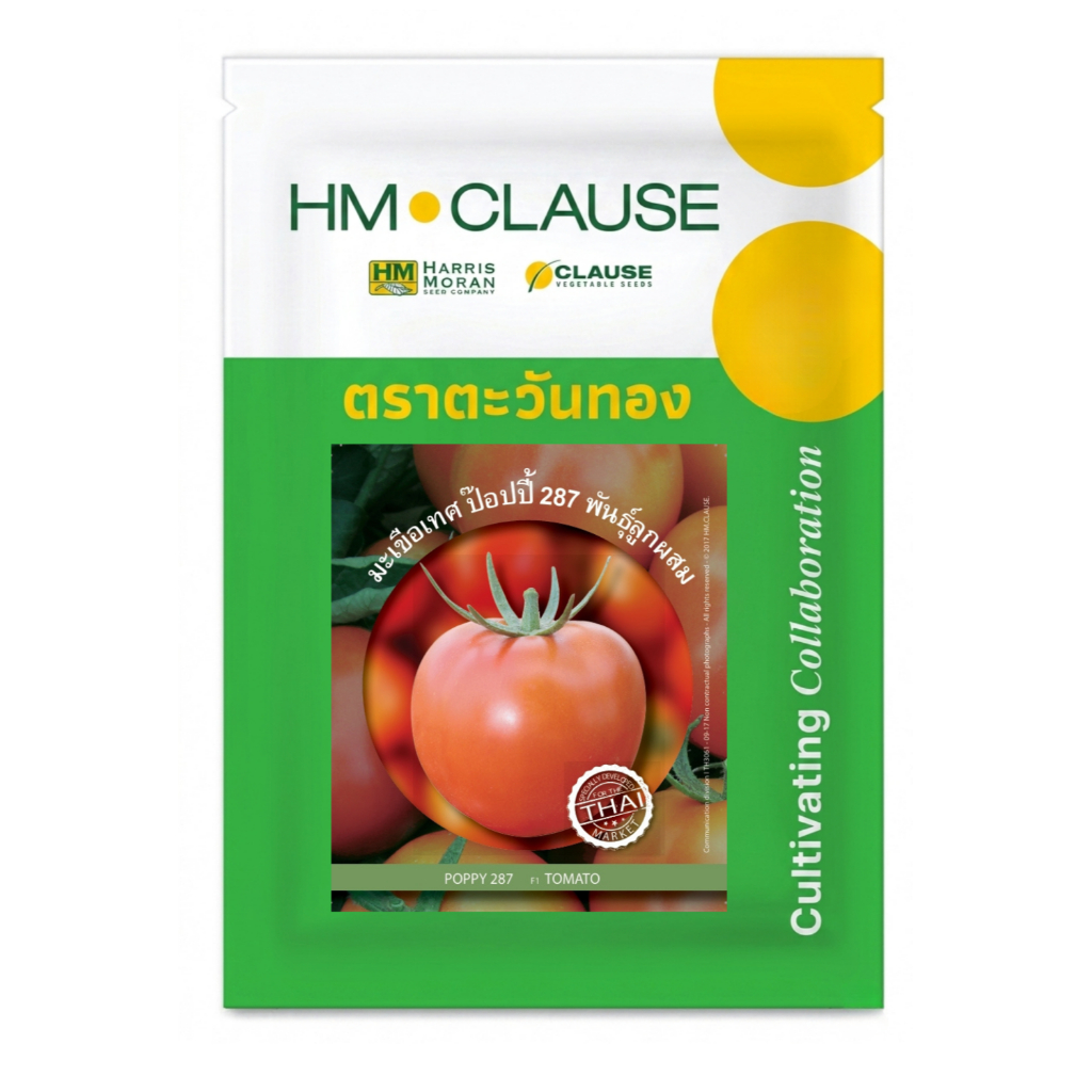 HM.CLAUSE ตราตะวันทอง มะเขือเทศ สายพันธุ์ลูกผสม ป๊อปปี้287 (TOMATO Poppy 287 F1)