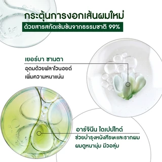 อีฟ โรเช Yves Rocher Anti-Hair Loss Hair Densifying Booster 195 ml บูสเตอร์ผมหนา - ลดผมร่วง ผมบาง บำรุงเส้นผม
