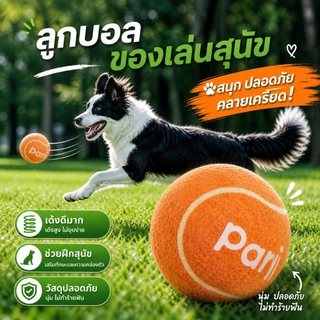 Harmcat ลูกบอลเทนนิสสำหรับสุนัข หมา ลูกบอลเด้ง สีสันสดใส สำหรับสุนัขทุกสายพันธุ์ กัดเคี้ยวเล่นได้ มี 3 เเบบให้เลือก