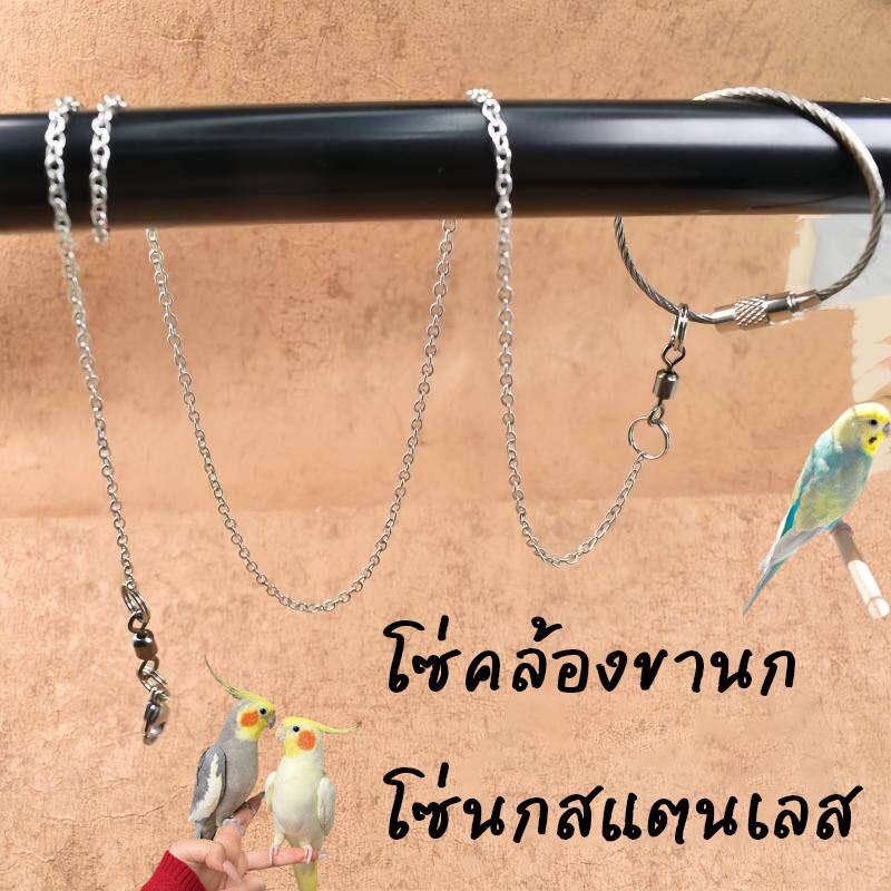 โซ่นกแก้ว ทำจากสแตนเลส ใช้กับห่วงนกได้ การฝึกบินนกและนกแก้ว อุปกรณ์เสริมสำหรับนก