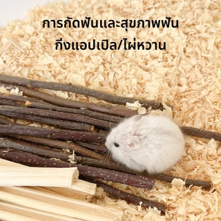แท่งกัดฟัน🎍ไผ่หวาน🍎ไม้แอปเปิ้ล 100 g.สำหรับสัตว์เลี้ยงฟันแทะ,กระต่าย,ชูการ์,แฮมเตอร์,แพรี่ด็อก
