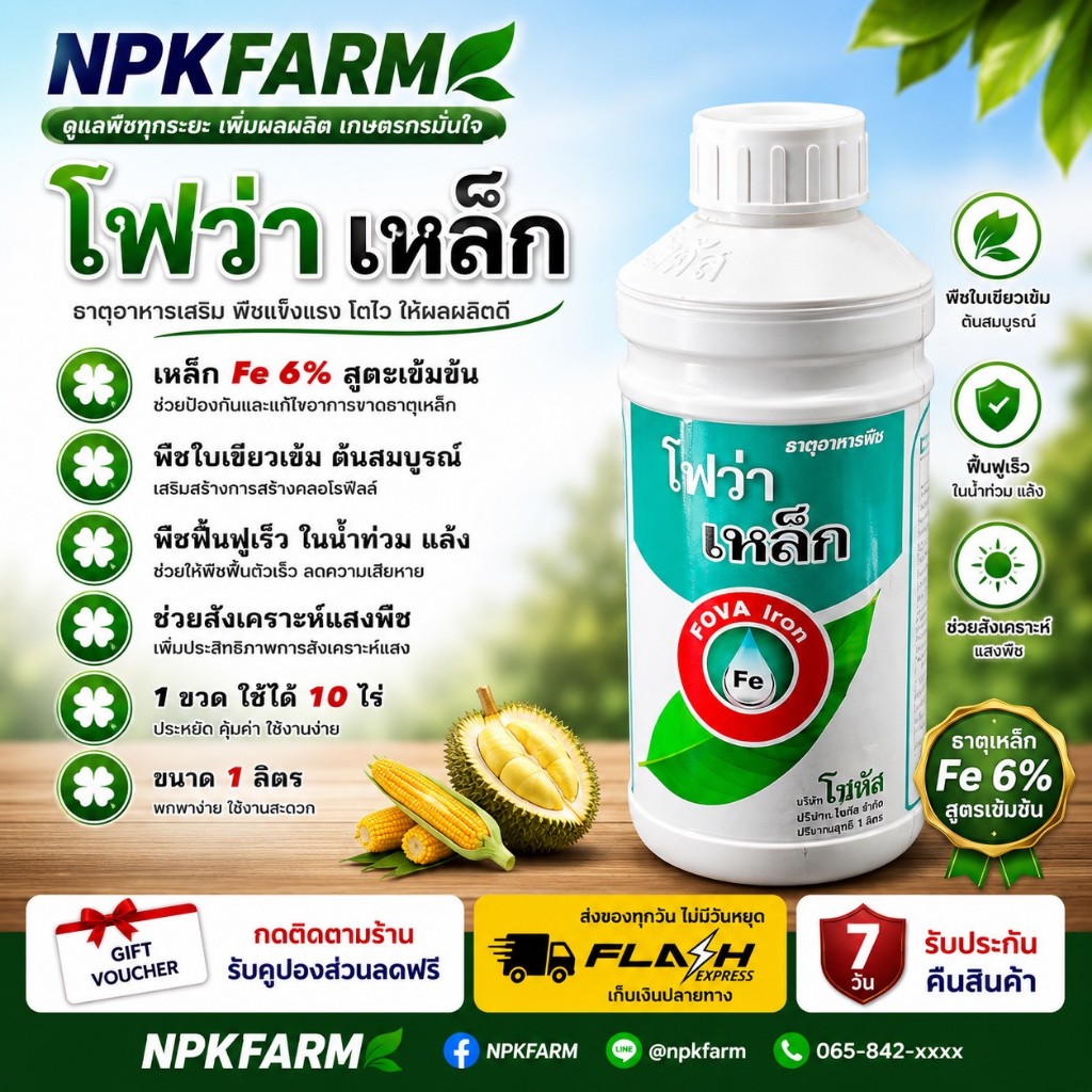 โซตัส โฟว่า เหล็ก Fe 6% ขนาด 1 ลิตร คีเลท พืชใบเขียวเข้ม ต้นแข็งแรง ฟื้นฟูพืชช่วง ภัยแล้ง น้ำท่วมขัง