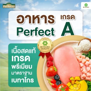 Perfecta อาหารแมว เกรดพรีเมี่ยม แมวโต อายุ 1 ปีขึ้นไป สูตรเลี้ยงในบ้าน เนื้อสดแท้ Human grade ขนาด 1 กก.
