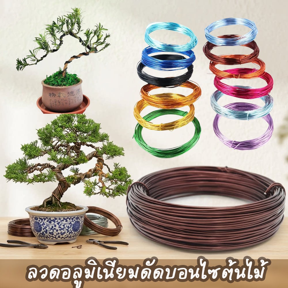 ลวดอลูมิเนียมดัดบอนไซต้นไม้ ลวดดัดบอนไซ เหนียว ยืดหยุ่น ไม่เป็นสนิม ลวดอลูมิเนียม 5สีให้เลือก ลวดดัดต้นไม้บอนไซ บอนสี