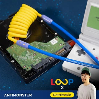 สายชาร์จ LOOP Collab /02 DataRockie 240W Type-C Fast Charging