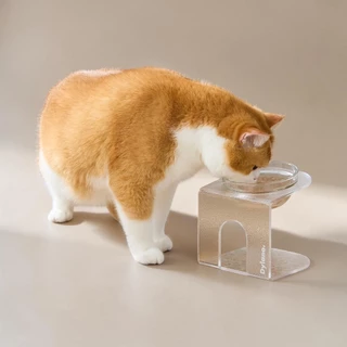 Dylano's S Stand with Bowl | ชามอาหารยกสูงปรับองศา ไซส์ S