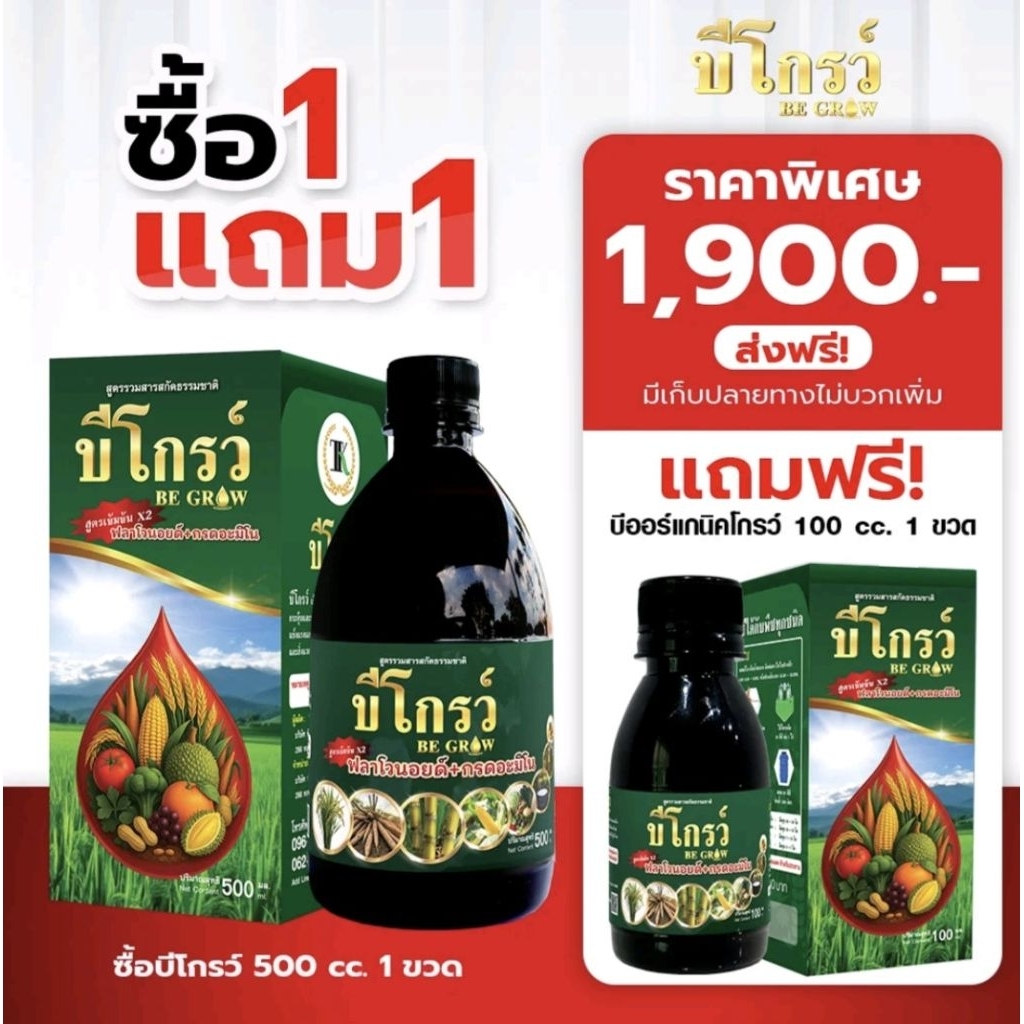 🔥สุดคุ้ม🔥 1 ขวด 500 ซีซี ฟรี 1 ขวด 100ซีซี บีโกรว์ อาหารเสริมสำหรับพืช ของแท้ 100%