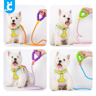 [ส่งฟรี🇹🇭] CleverPet สายจูงสุนัข แมว ยาว 150 cm ด้ามจับฟองน้ำ นุ่ม ไม่เจ็บมือ Pet Leash