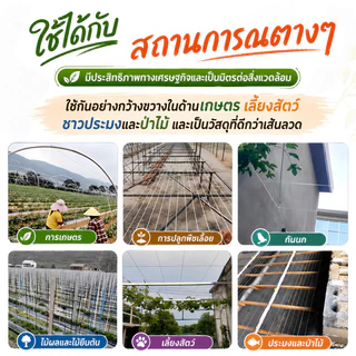 ลวดพลาสติก PET งานเกษตร ลวดมัดตนไม้ ลวดเคือบพลาสติก ลวดยกม้วน ลวด ลวดพลาสติก ลวดมัดต้นไม้ ลวดค้างผัก ลวดเคือบพลาสติก ลว