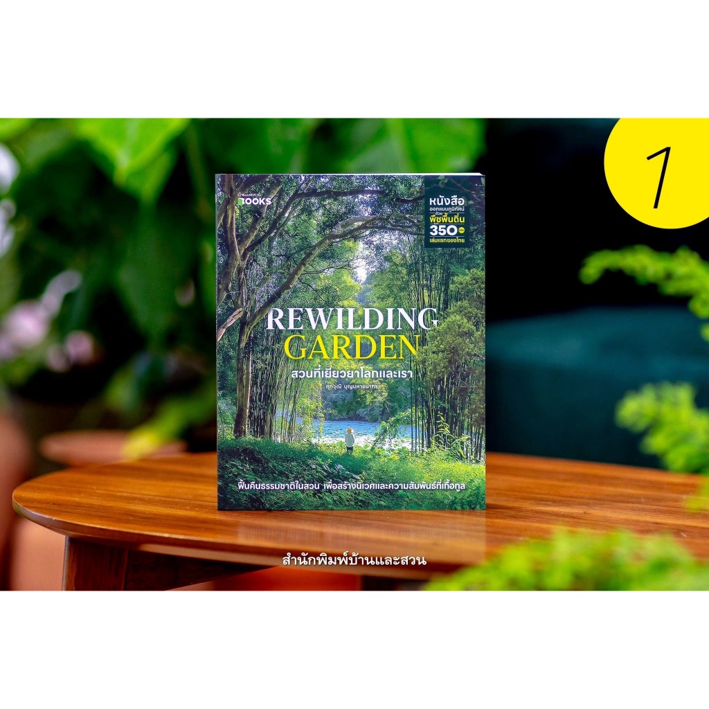 Rewilding Garden สวนที่เยียวยาโลกและเรา : บ้านและสวน