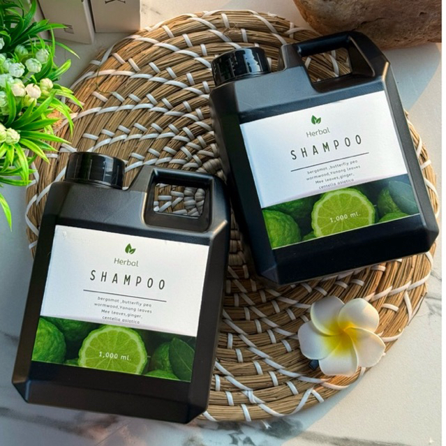 แชมพูสมุนไพรสด 2 แกลอน ขนาด1,000 ml. ลดผมร่วง บำรุงราก บำรุงเส้นผม ลดมัน ลดรังแค เชื้อรา เซ็บเดิร์ม ซันนะตุ สะเก็ดเงิน