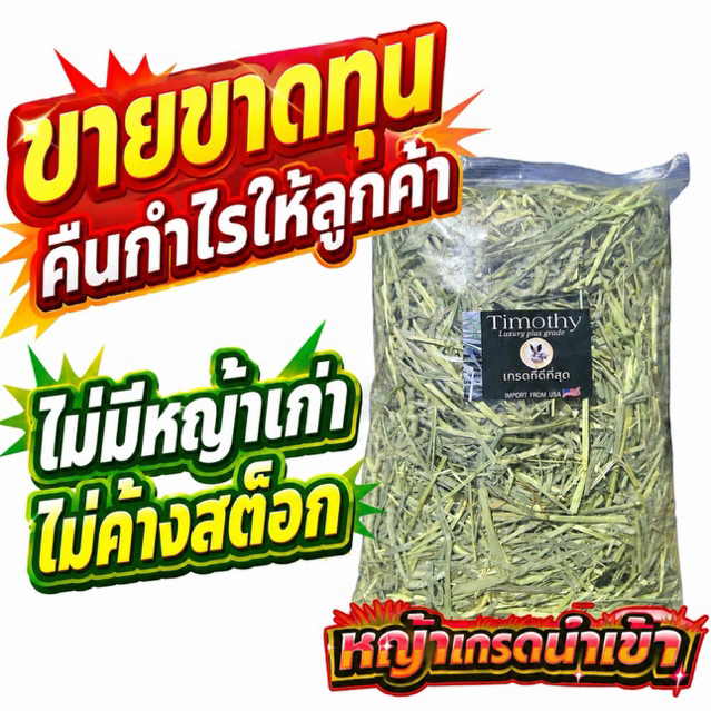‼️หญ้าคัท1 ลัคชูรี่‼️ ทิมโมธี 1กก Timothy คัท1 ใบเยอะ ดอกเยอะ