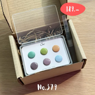 สีน้ำ ทำมือ ชุดโทนสี 6 สี