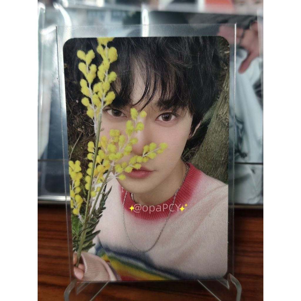การ์ด โดยอง NCT 127 NCT Doyoung