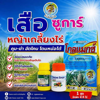 ทินเซอร์ 50ซีซี+โดรนสเปรย์ 100ซีซี และ 250ซีซี+โดรนสเปรย์ 500 ซีซี กำจัดหญ้าใบแคบ ใบกว้าง