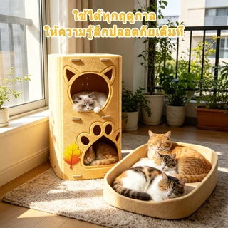 คอนโดแมว ใหญ่ บ้านแมว วัสดุสักหลาด ของเล่นแมว บ้านแมวแครอท ที่นอนแมว นุ่มสบาย