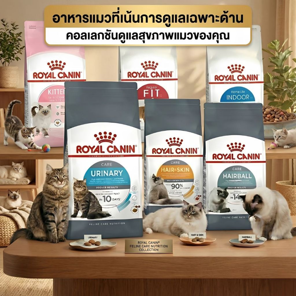 แบบแบ่งขาย อาหารแมว Royal Canin รวมสูตรขายดี 6 สูตร Kitten/Indoor/Fit/Hair&Skin/Urinary/Hairball