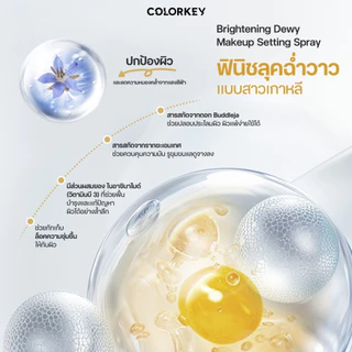 สเปรย์ล็อกเมคอัพคัลเลอร์คีย์ Colorkey Setting Spray 30/100ml.