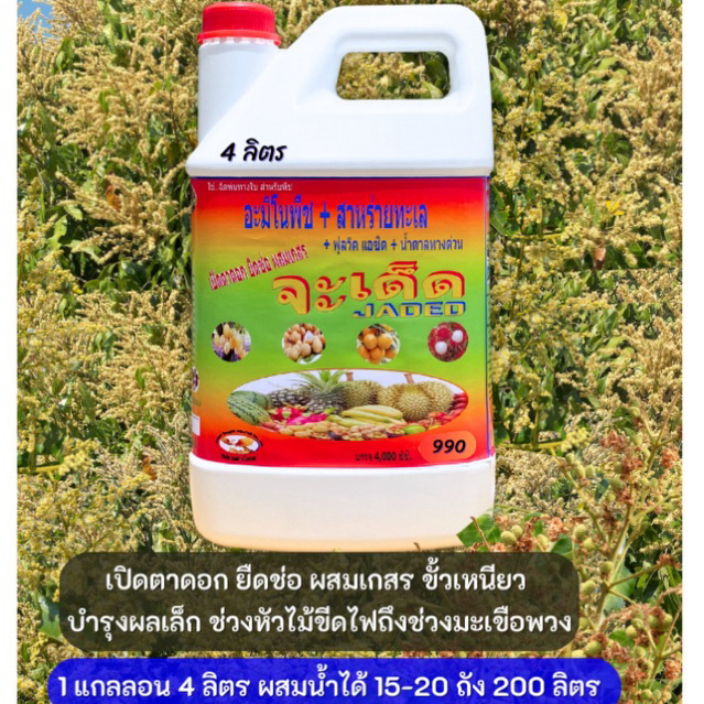 จะเด็ด ลำไย  ฉีดพ่นทางใบ สูตรสำเร็จสำหรับ ลดการใช้ปุ๋ยเคมี พืชสมบูรณ์ โตไว เขียวเร็ว ผลโต