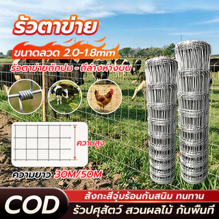 ส่งฟรี🚚 รั้วตาข่ายถักปม รั้วถักปม ลวดตาข่ายถักปม รั้วตาข่ายแรงดึง ยาว30m/50m ลวดล้อมไร่สวน ลวดล้อมคอกสัตว์ วัวแพะไก่