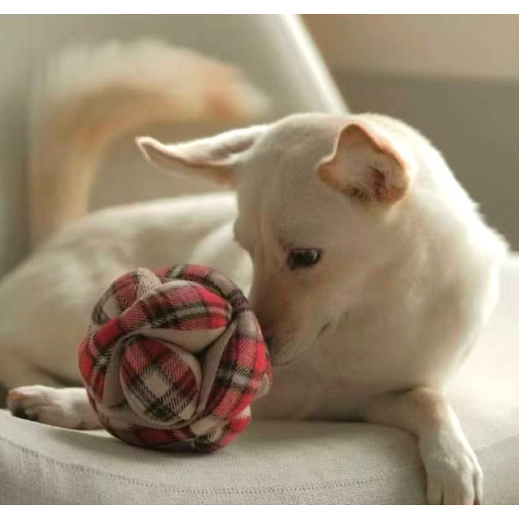 MONTI FLANNEL [LIMITED EDITION]