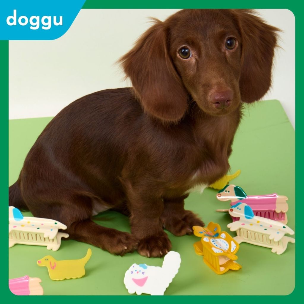 [พร้อมส่ง] Doggu Hair Claw กิ๊บหนีบผมรูปน้องหมา Furry Friend Collection