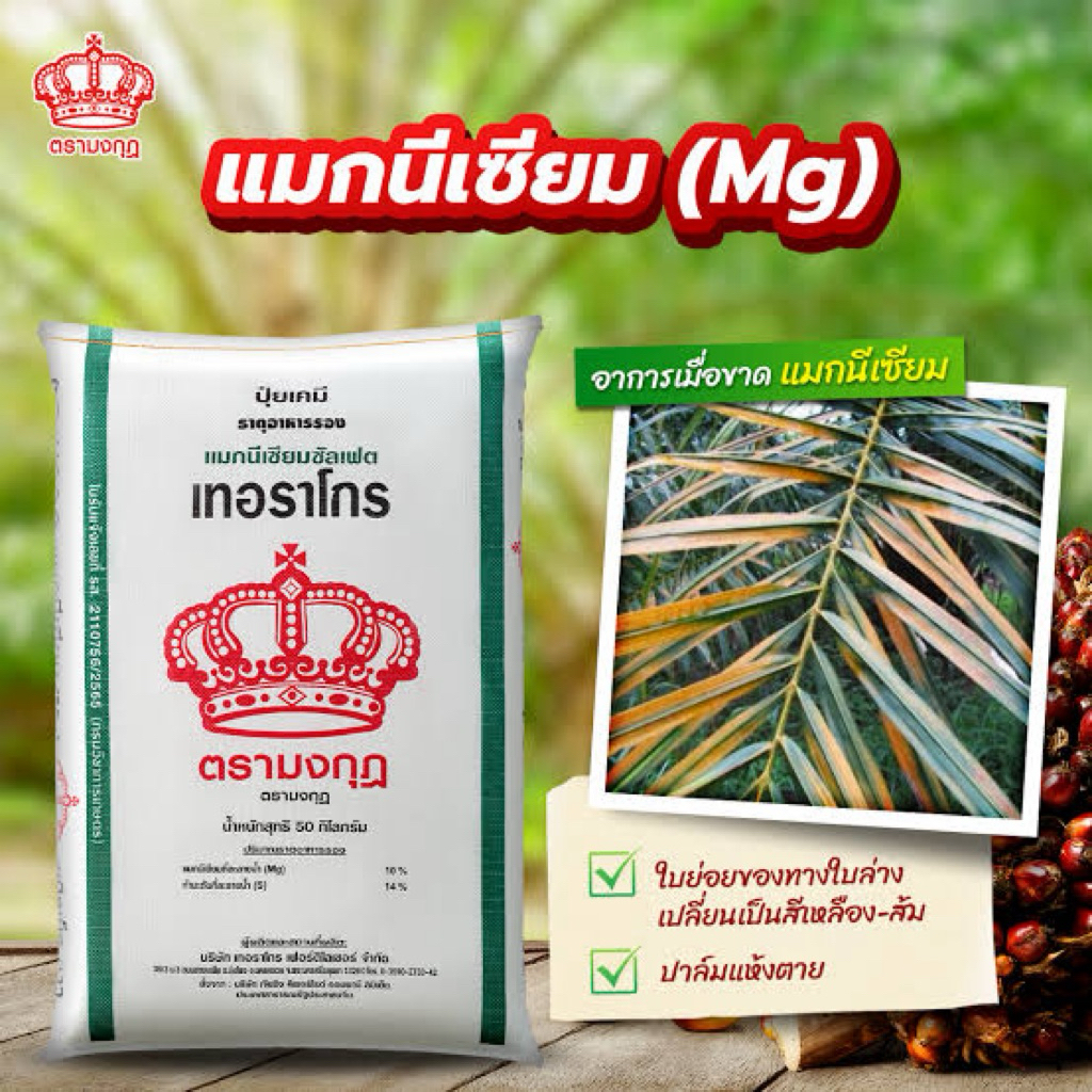 (แบ่งขาย 1 กก.)แมกนีเซียม ตรา มงกุฎ เป็นธาตุอาหารรองสำหรับพืช